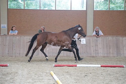 Siegerehrung 234