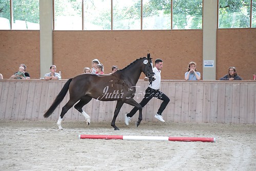 Siegerehrung 319