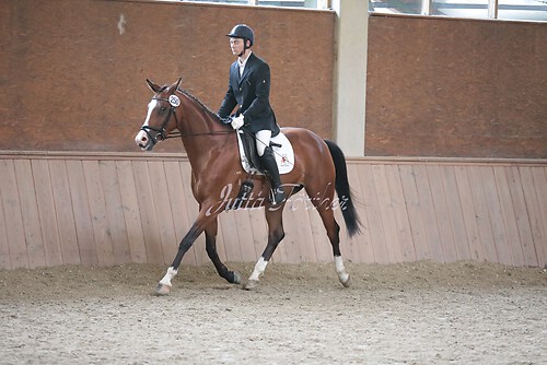 Stutenleistung0070