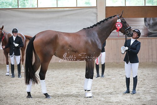 Siegerehrung Stutenleistung0070