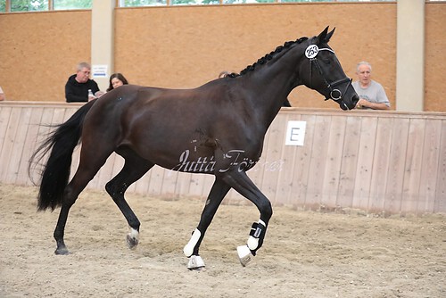 Herzogin Kate04