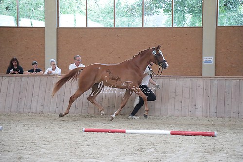 Siegerehrung 58