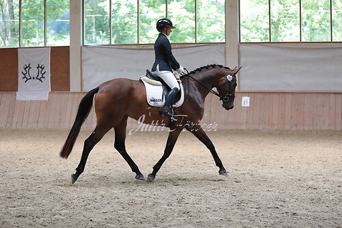 Stutenleistung0166