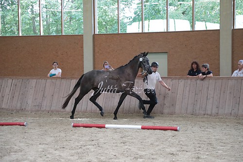 Siegerehrung 68