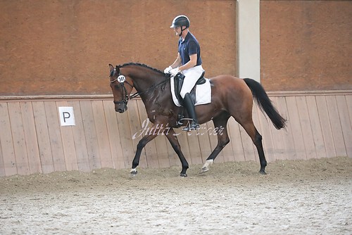 Stutenleistung0045