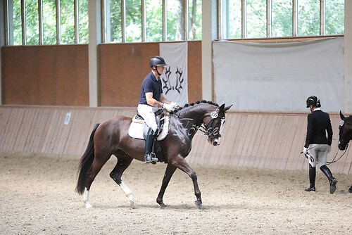 Stutenleistung0184