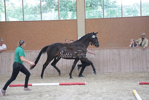 Siegerehrung 54