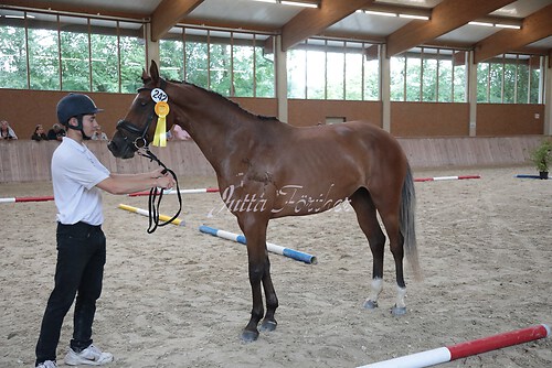Siegerehrung 241