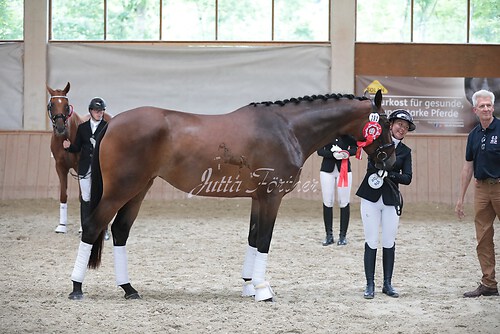 Siegerehrung Stutenleistung0064