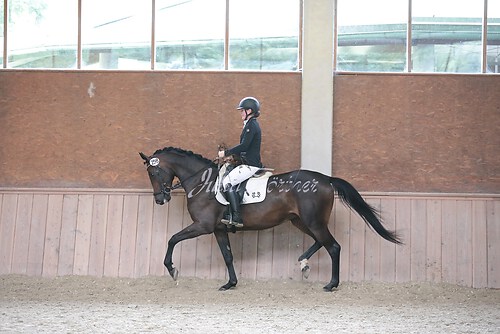 Stutenleistung0121