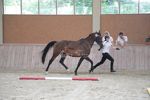 Siegerehrung 174