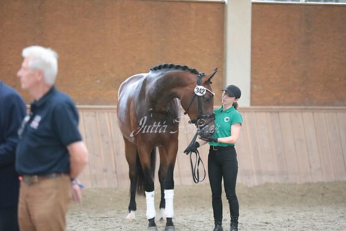 Siegerehrung Stutenleistung0016