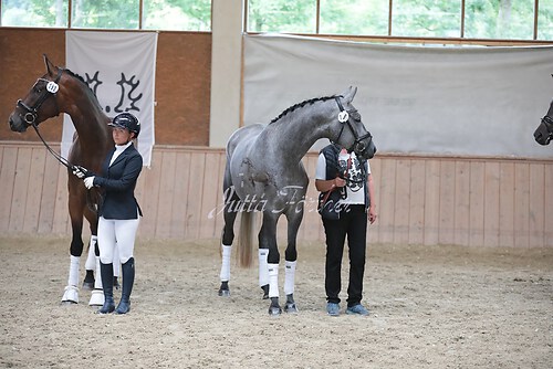 Siegerehrung Stutenleistung0004