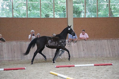 Siegerehrung 180