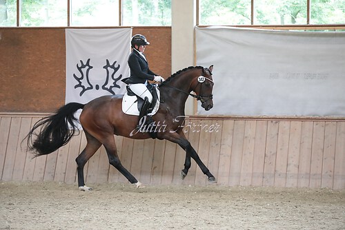 Stutenleistung0090