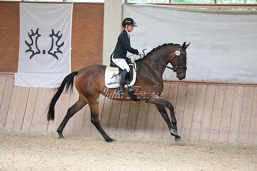 Stutenleistung0150