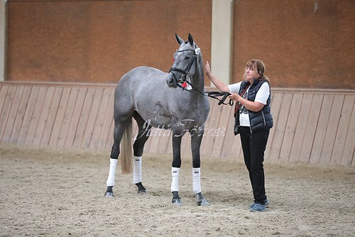 Siegerehrung Stutenleistung0074