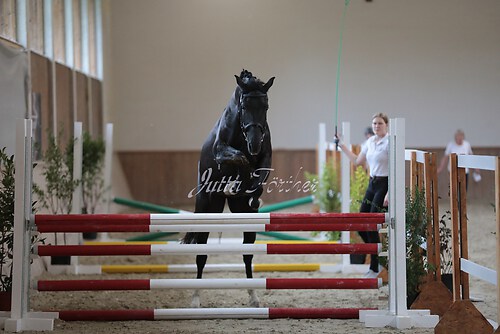 Freispringen 368