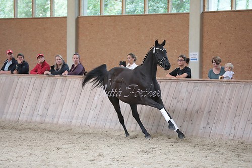 Freispringen 118