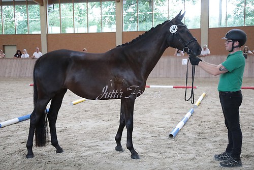 Siegerehrung 108