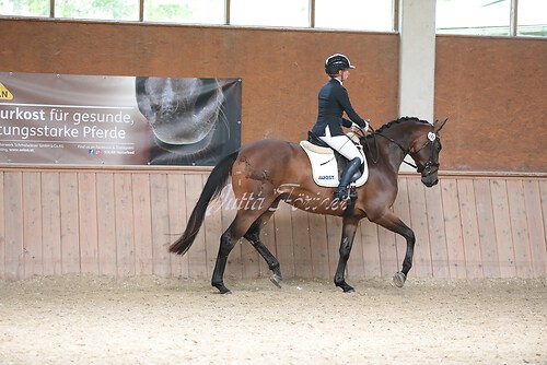 Stutenleistung0164