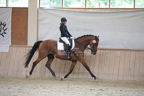 Stutenleistung0053
