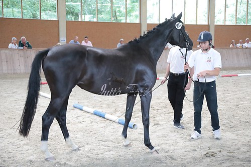Siegerehrung 309