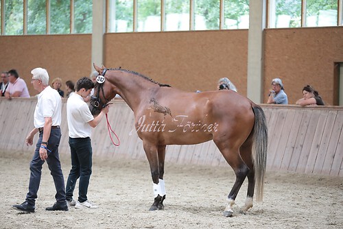 Freispringen 312