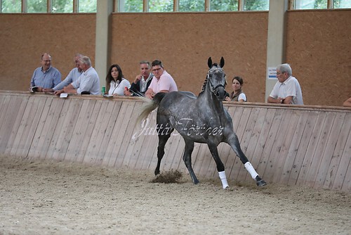 Freispringen 277