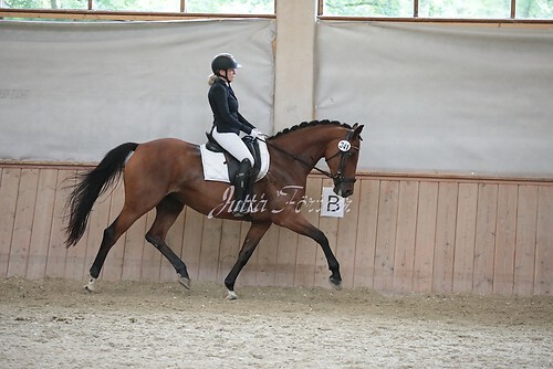 Stutenleistung0052