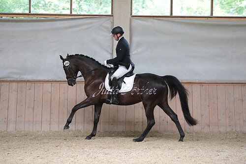 Stutenleistung0133