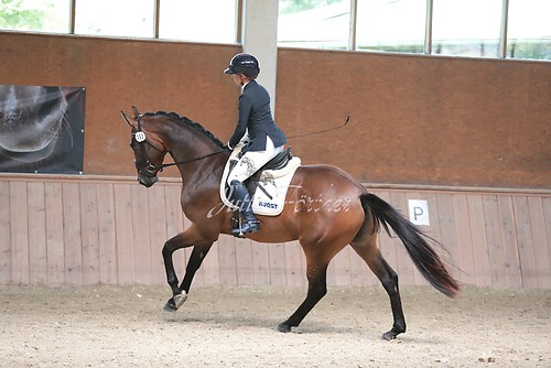 Stutenleistung0162