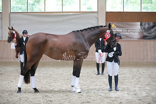 Siegerehrung Stutenleistung0066