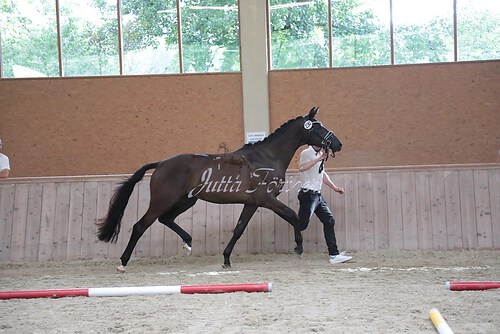 Siegerehrung 65