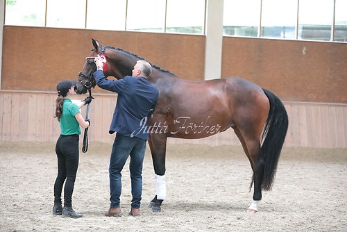 Siegerehrung Stutenleistung0079