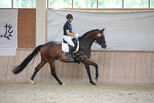 Stutenleistung0076
