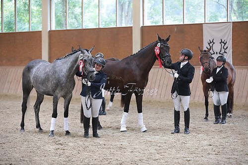 Siegerehrung Stutenleistung0165