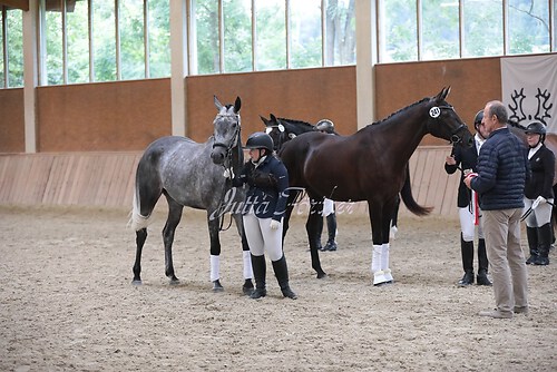 Siegerehrung Stutenleistung0141