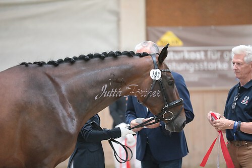 Siegerehrung Stutenleistung0058