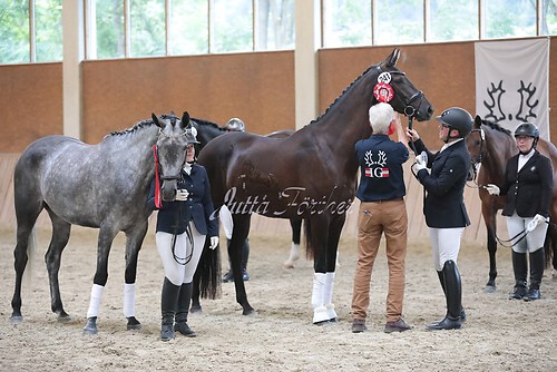 Siegerehrung Stutenleistung0153