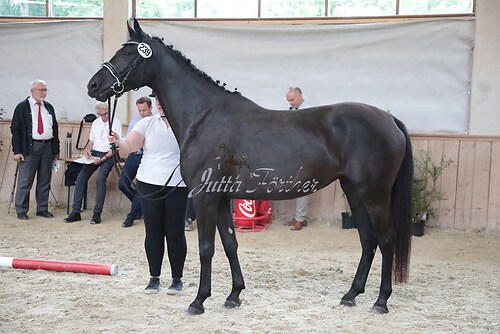 Siegerehrung 248