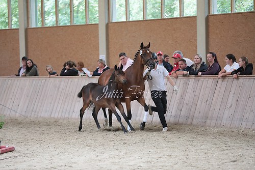 Freispringen 28
