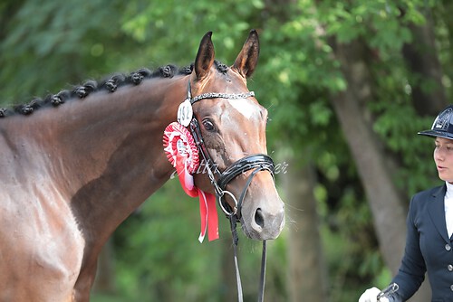 Siegerehrung Stutenleistung0105