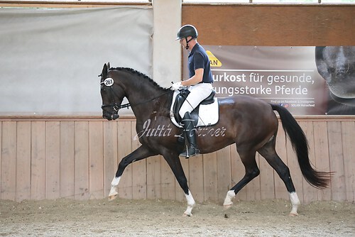 Stutenleistung0030