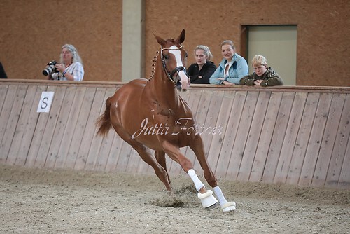 Freispringen 429