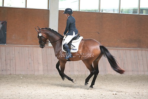 Stutenleistung0163