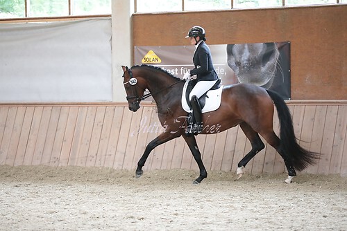 Stutenleistung0112