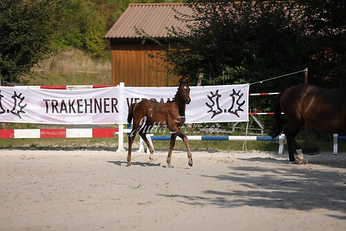 Lebensglück002