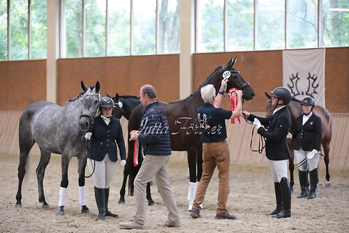 Siegerehrung Stutenleistung0147