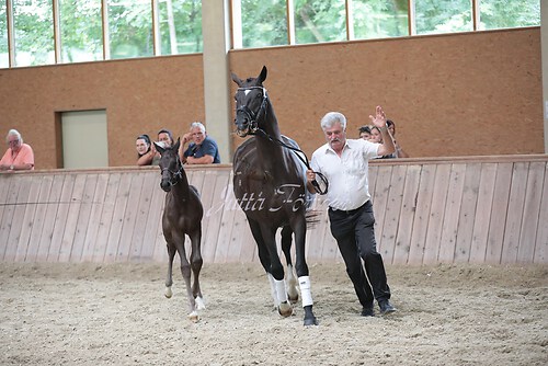 Freispringen 78